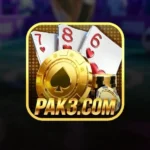 PAK 3 feature image