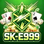 SK E999 feature image